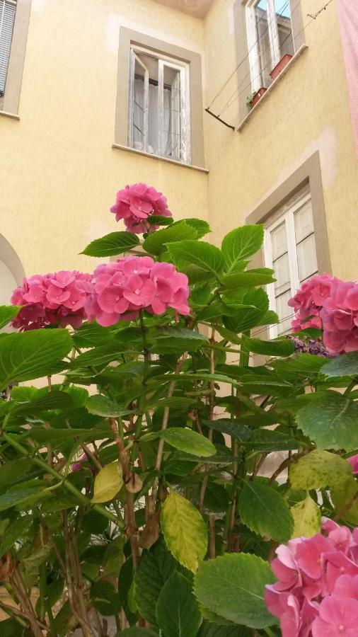 הוילה סן ג'יורג'יו א קרמאנו Casa Girasole מראה חיצוני תמונה